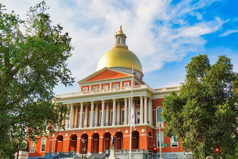 Want to Discover More About the DCF Investigation Process in Massachusetts?