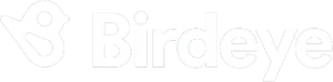 Bird Eye Logo