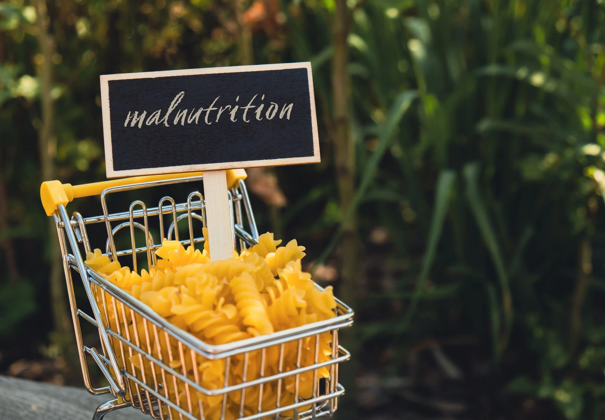 MALNUTRITION text on Blackboard label Shopping trolley cart Filled With Pasta on agriculture