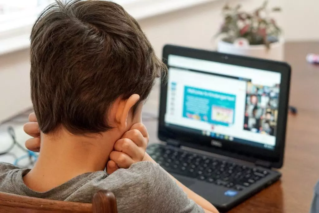 Do We Actually Need to Worry About Child Abuse through Zoom? 21 Child Abuse through Zoom