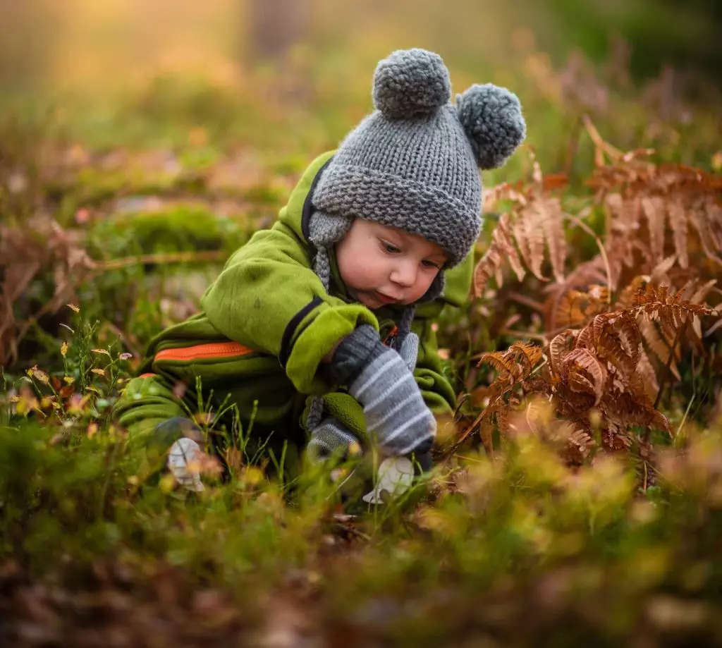 What are Supported Findings? 2 How Important is it to Request a MA DCF Fair Hearing?