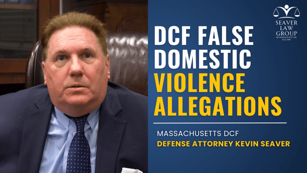 DCF false domestic violence allegations 15 DCF false domestic violence allegations 5