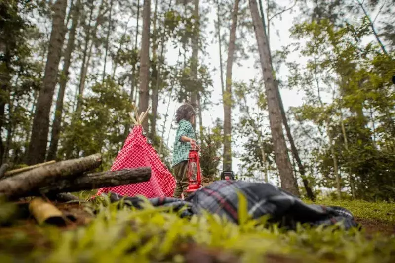 MA DCF Case Study: How a Fun Family Camping Trip Turned Into a Long Nightmare With DCF 9 MA DCF Case Study: How a Fun Family Camping Trip Turned Into a Long Nightmare With DCF 8