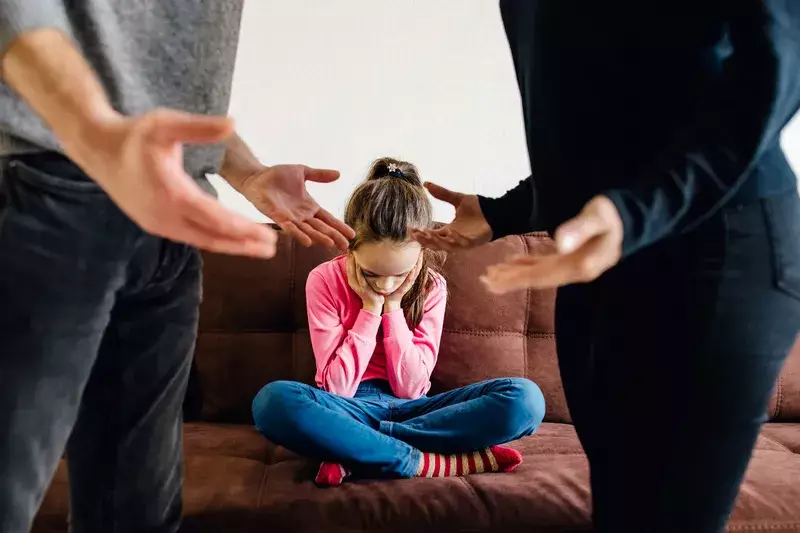 Why does DCF investigate allegations of domestic violence? 7 Why does DCF investigate allegations of domestic violence?